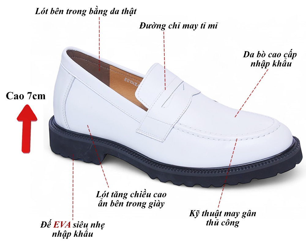 Giày cao 7cm đế siêu nhẹ